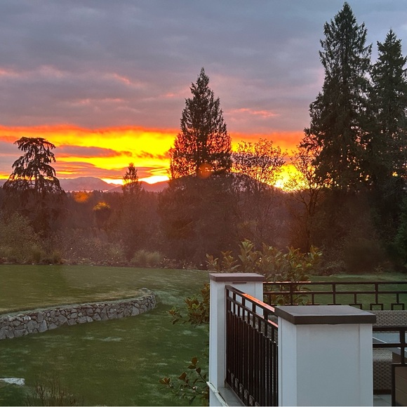 ππππ - Picture 4 of 4